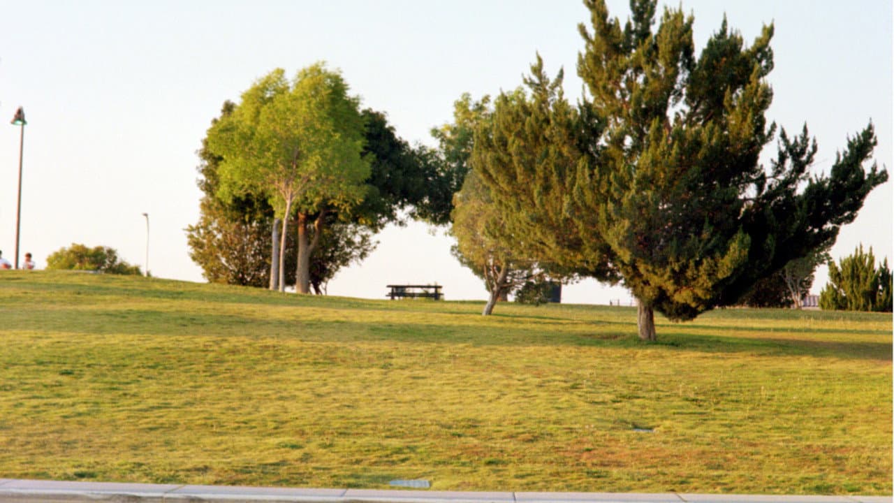 The Last Conversation