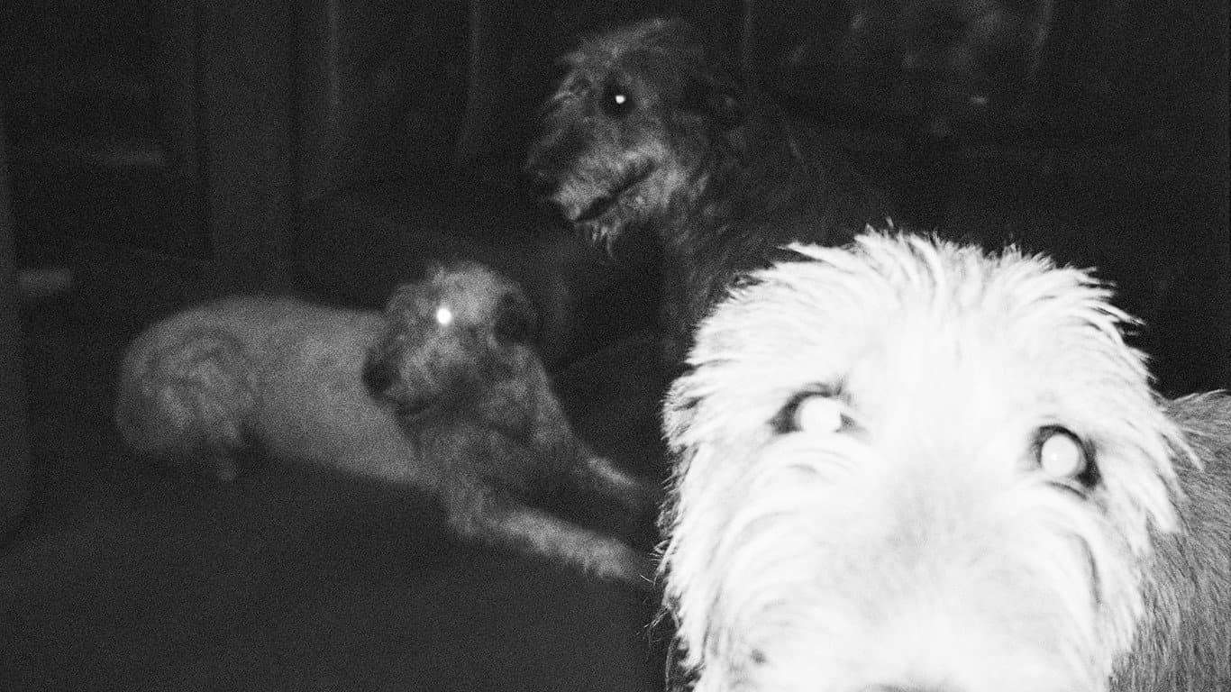 Not the Wound but the Scar