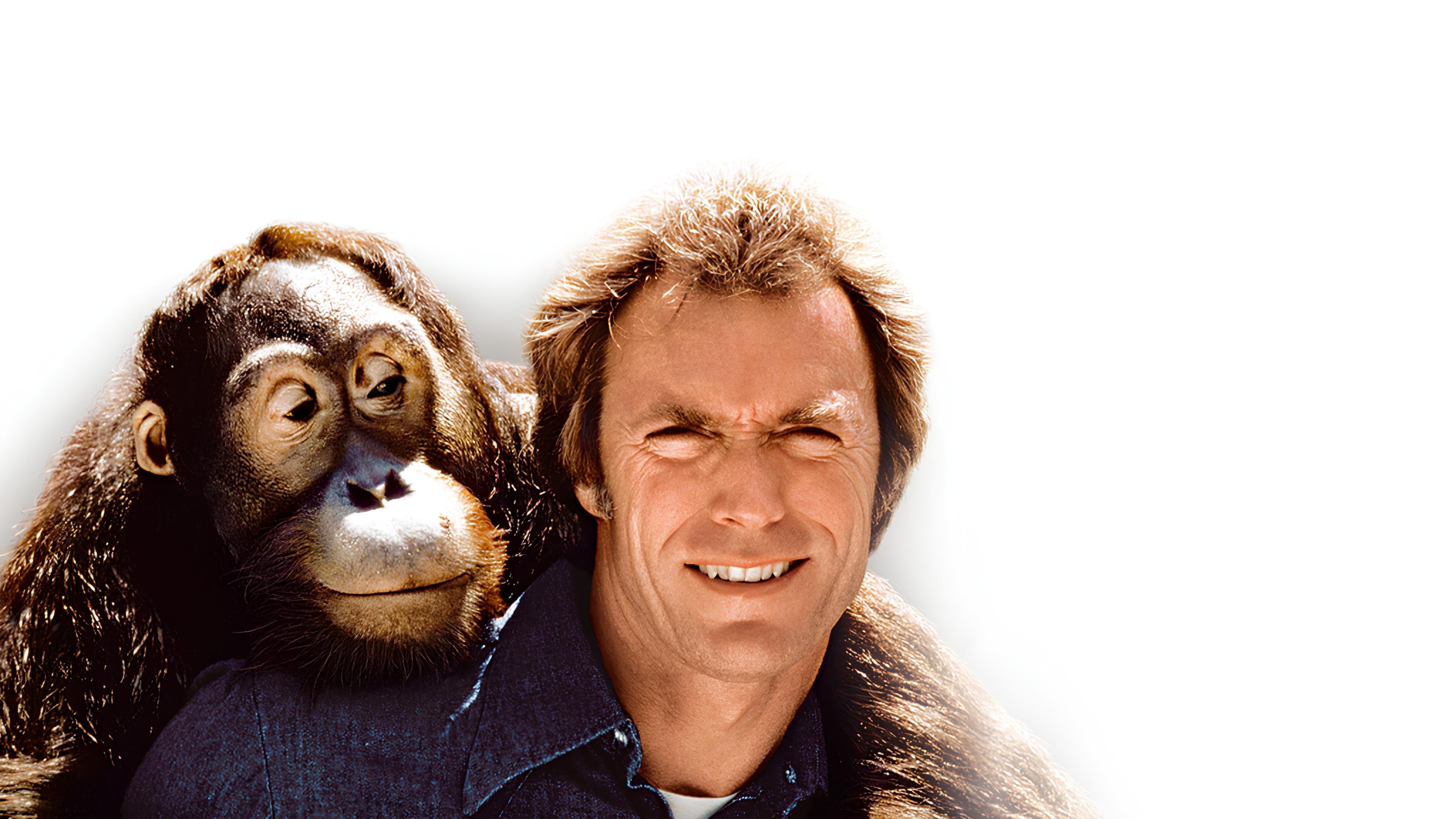 Any Which Way You Can