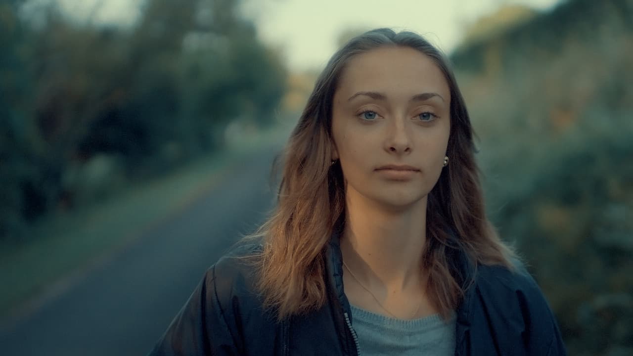 Se souvenir des tournesols