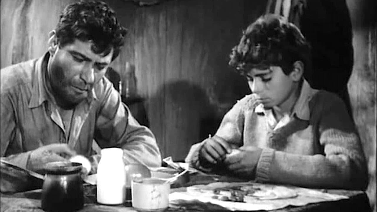 The Boy Across the Street