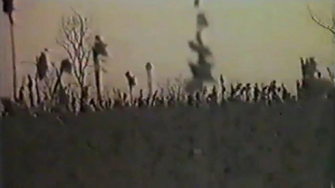 Ангел жатвы