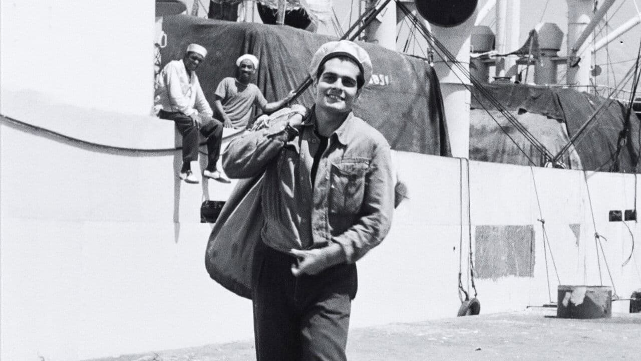 Struggle in the Harbor