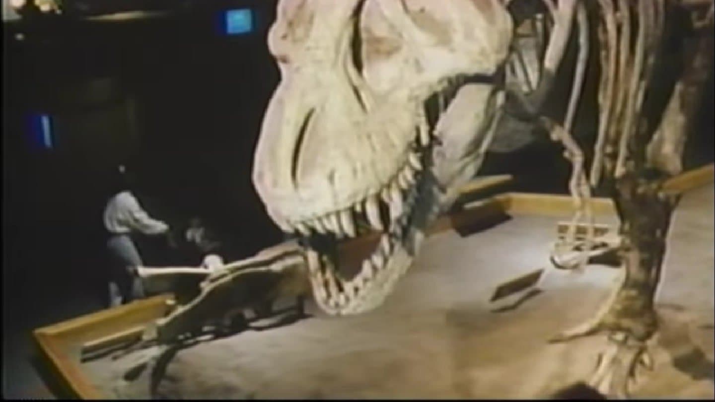 The Real Jurassic Park