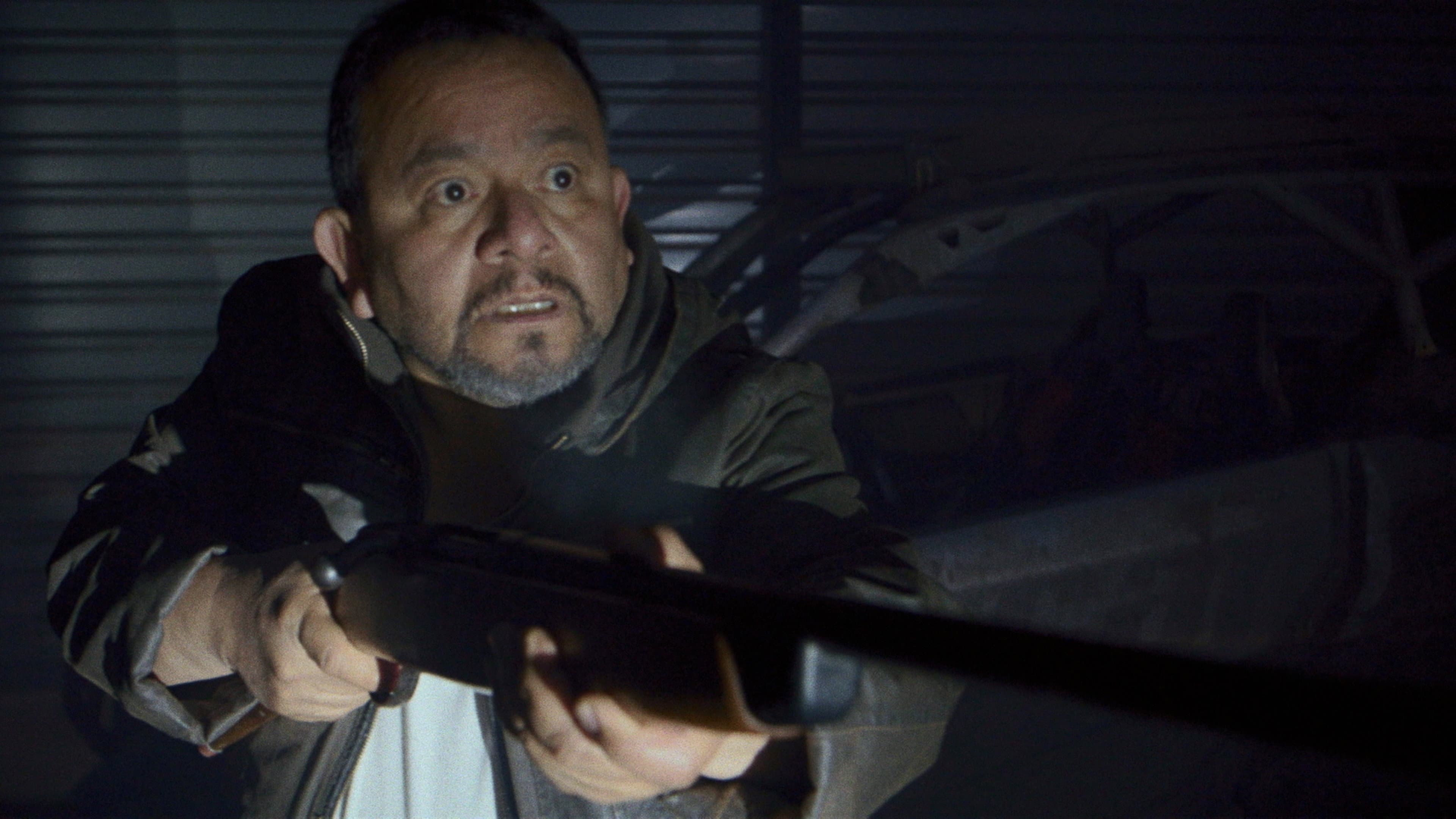 Los gorriones vuelan de noche