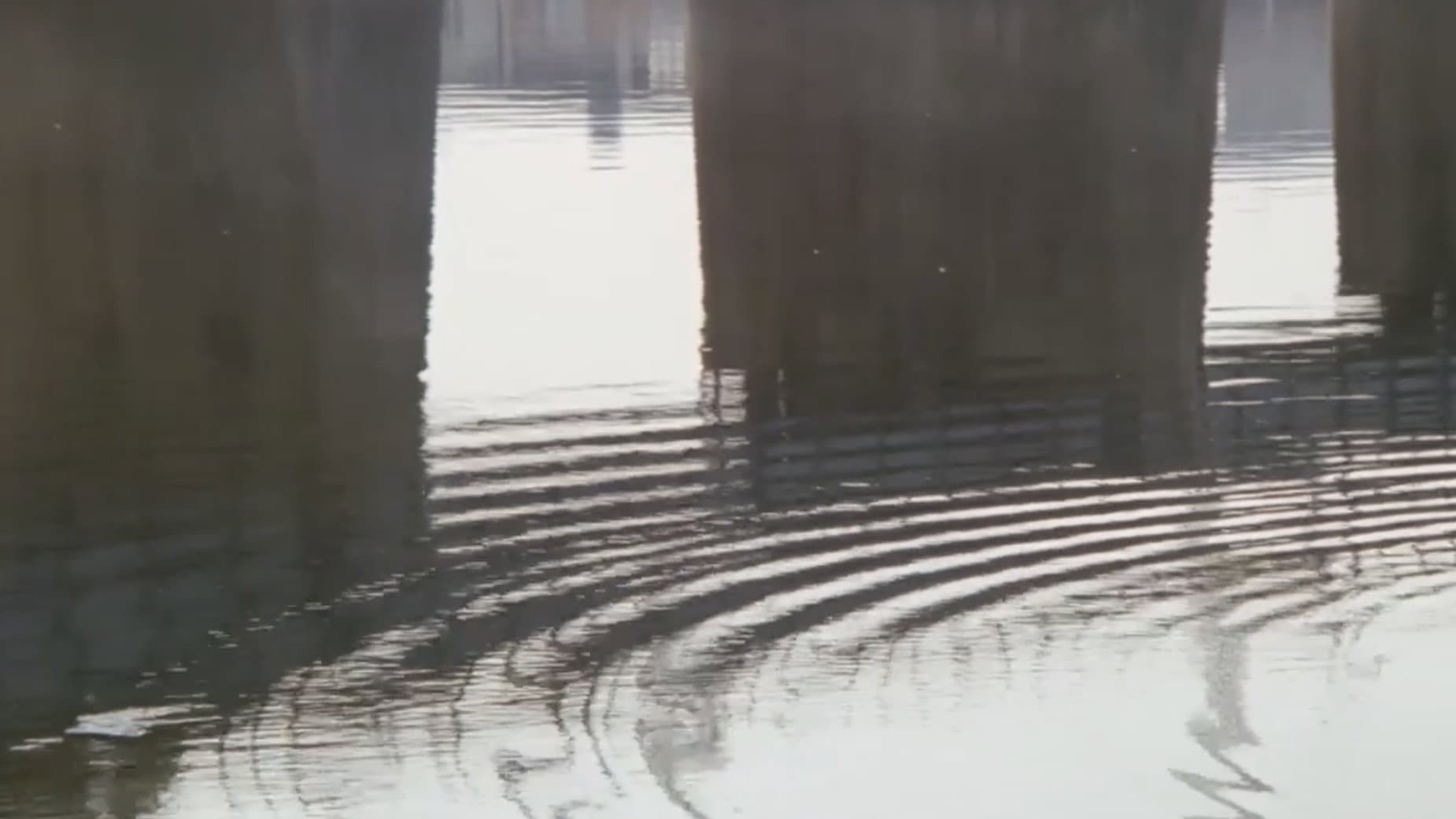 Ginza Neon District: A Woman's Climax