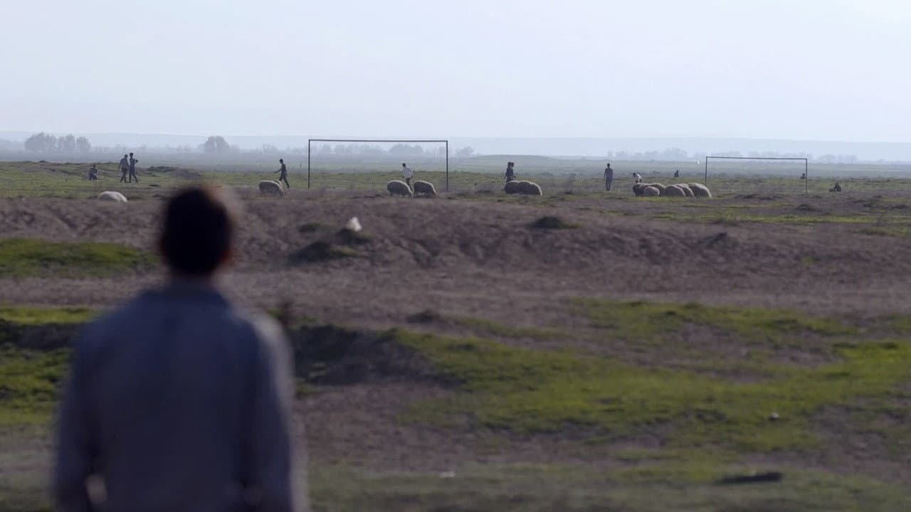 Reporting from Darkness