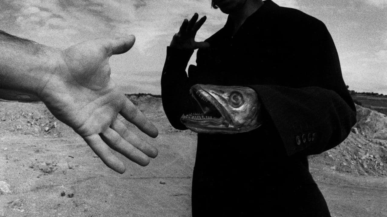 One Minute for One Image