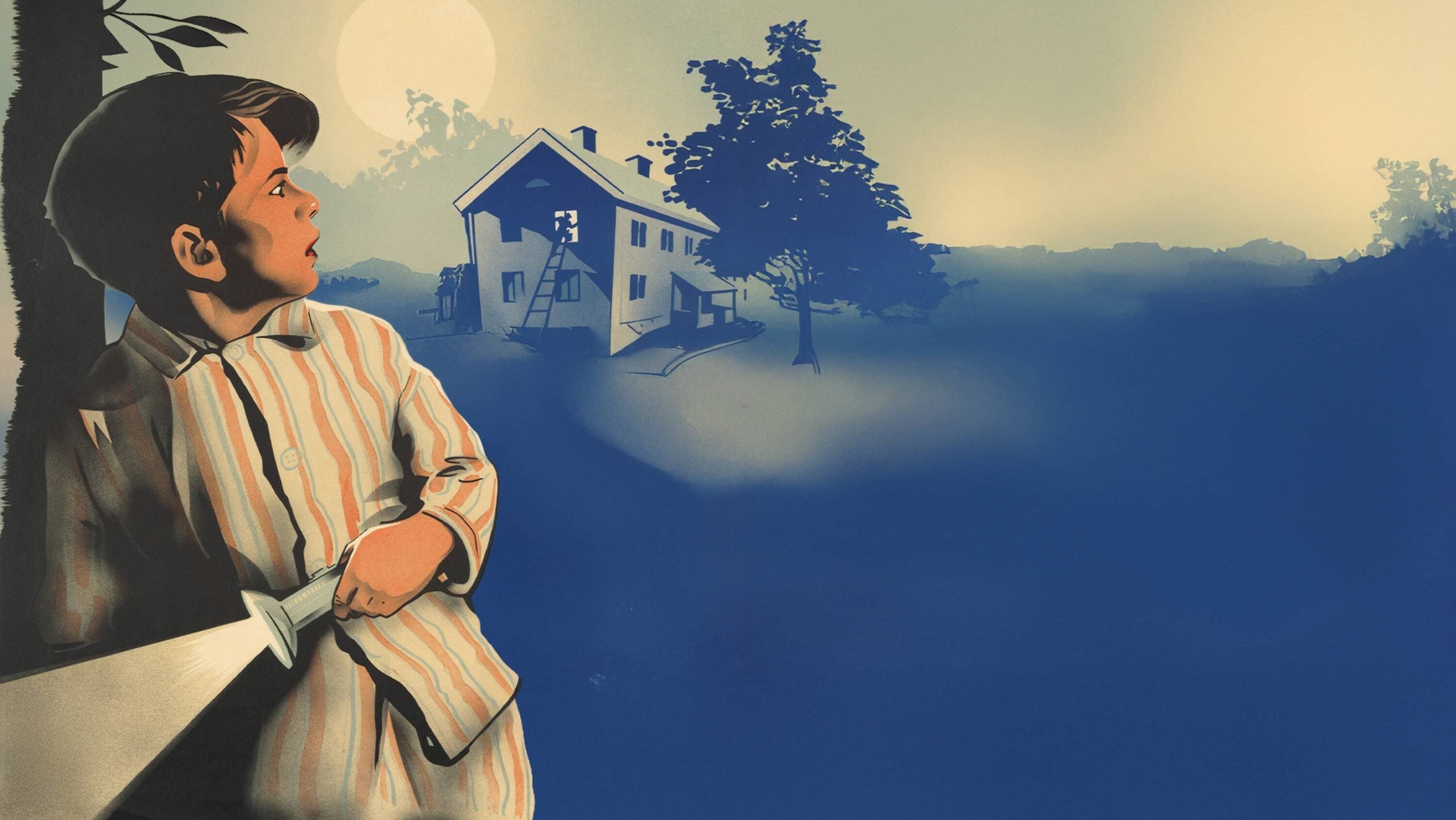 Master Detective Blomkvist