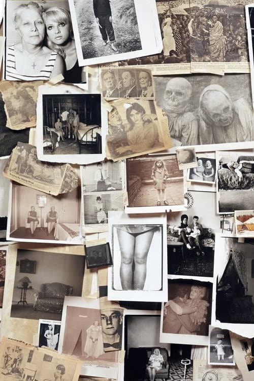 A Slide Show and Talk by Diane Arbus