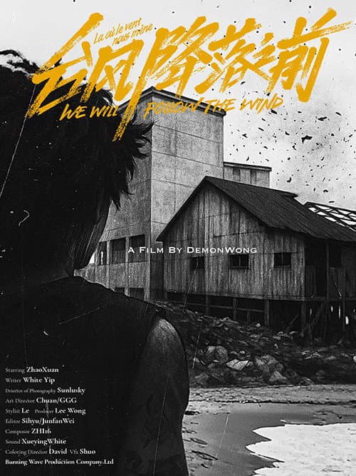 We Will Follow the Wind