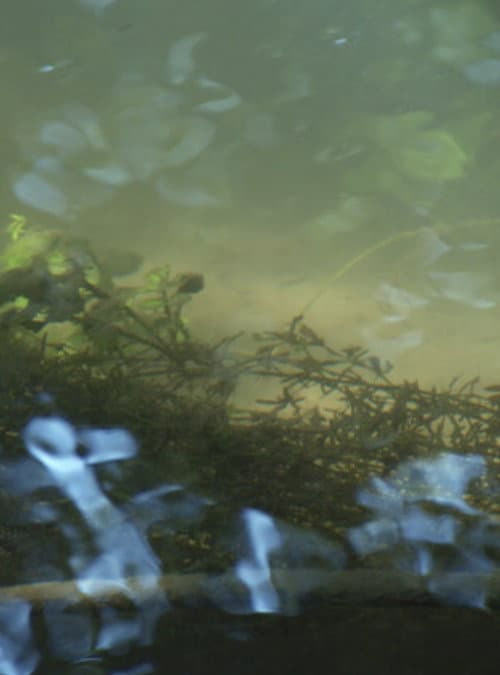 Heartbroken for Good