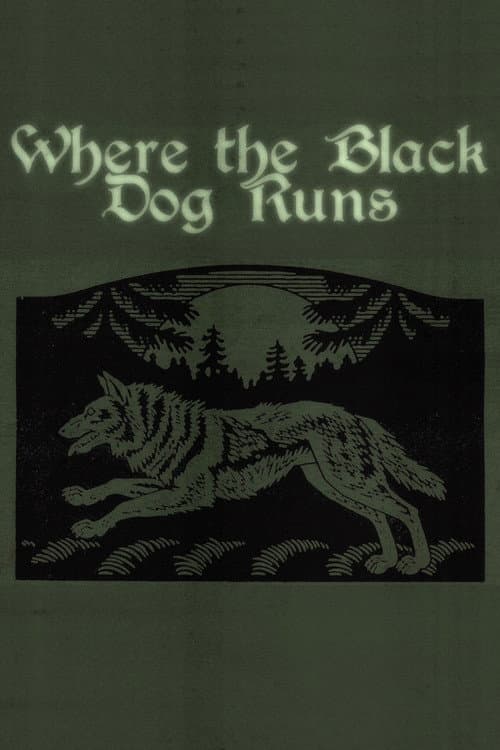 Where the Black Dog Runs