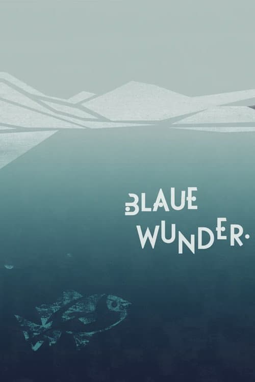 A Thousand Questions and One Miracle