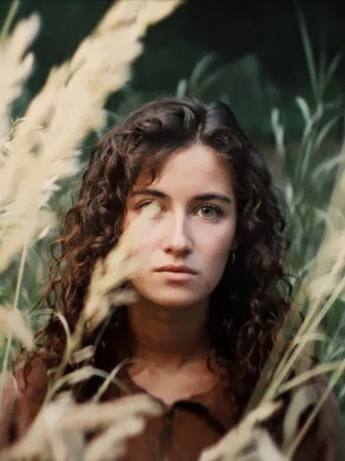 The Weight of Quiet Things