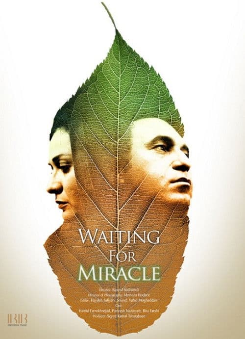 Waiting For Miracle