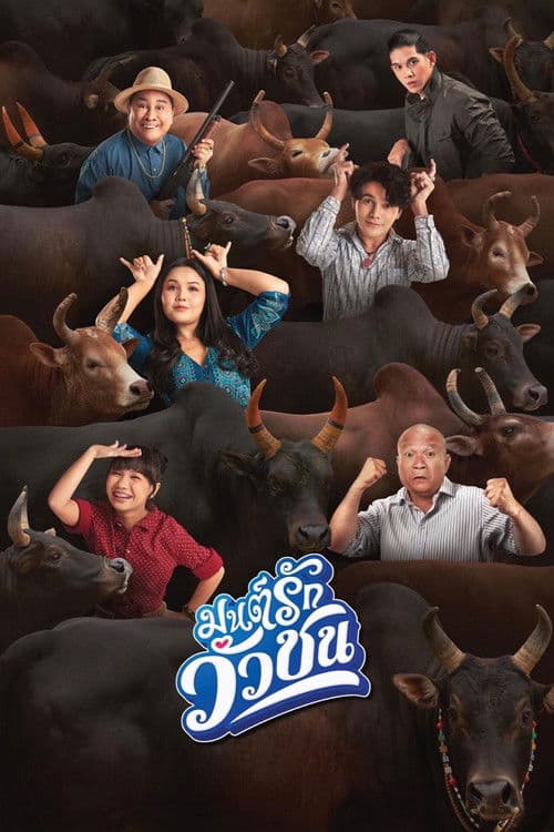 Love Battle vs Bullfighting