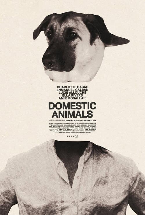 Domestic Animals
