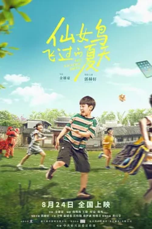 仙女鸟飞过的夏天