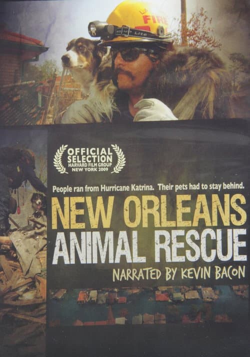 New Orleans Animal Rescue
