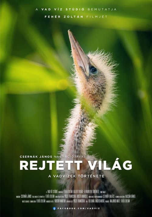 Hidden World: The Story of Hungary's Wild Waters