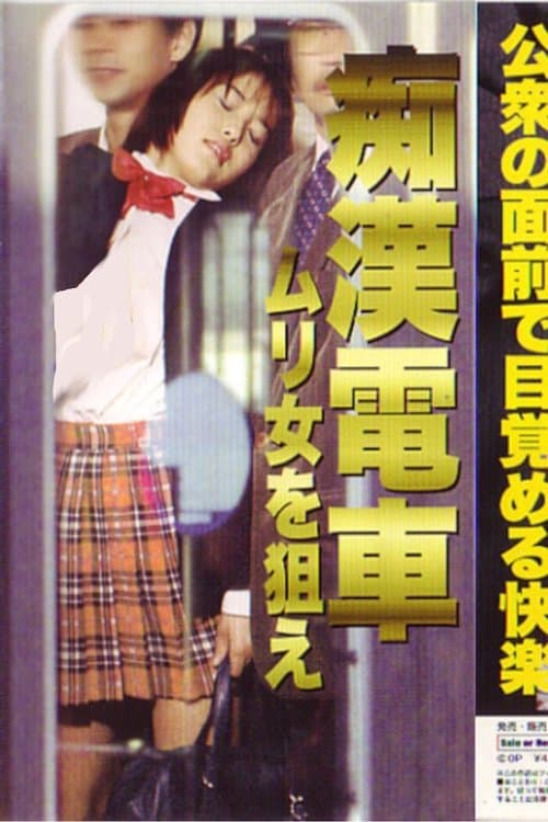 Groper Train: Target the Impossible Woman