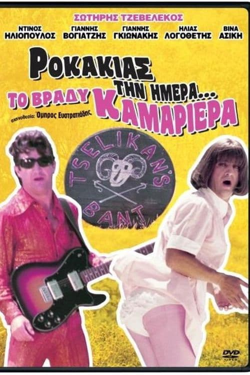 Rock Star During the Day... At Night Maid