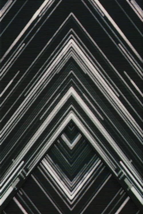 SAKANAQUARIUM 2015-2016 "NF Records launch tour" -LIVE at NIPPON BUDOKAN 2015.10.27-