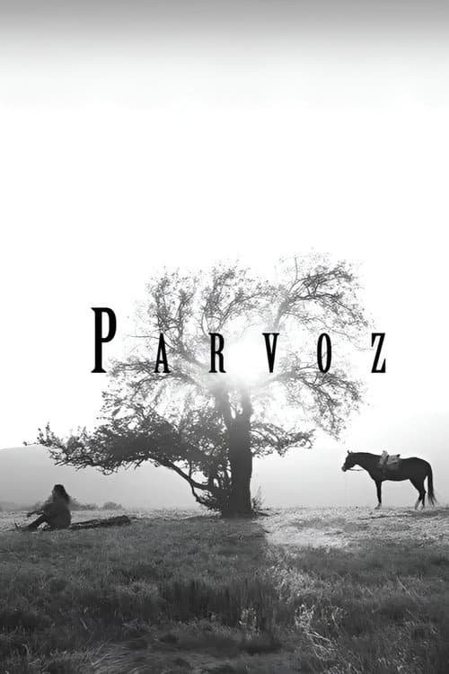 Parvoz