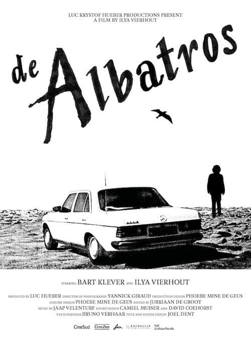 The Albatross