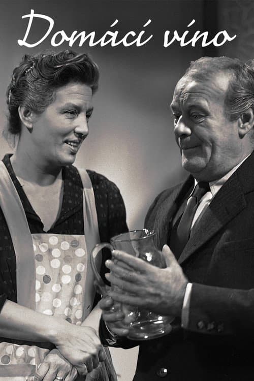 Domácí víno