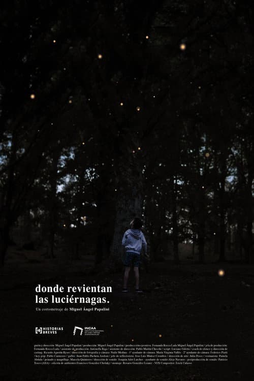 Where the fireflies burst