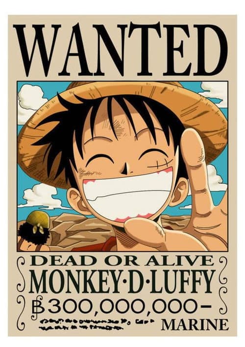 海贼王特别篇:路飞的绝技