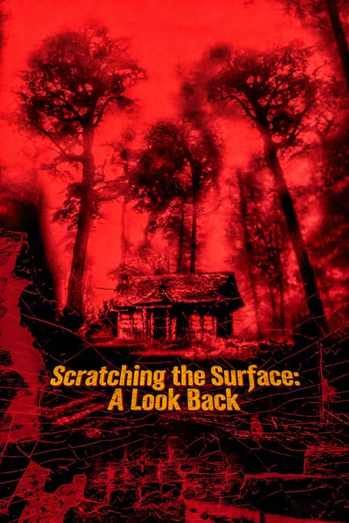 Scratching the Surface: A Look Back