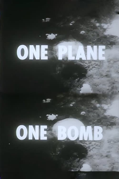 One Plane, One Bomb