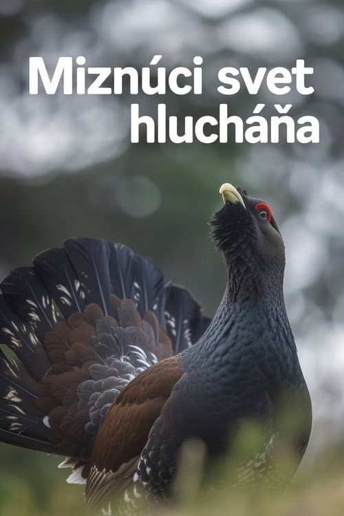 Disappearing World of the Capercaillie