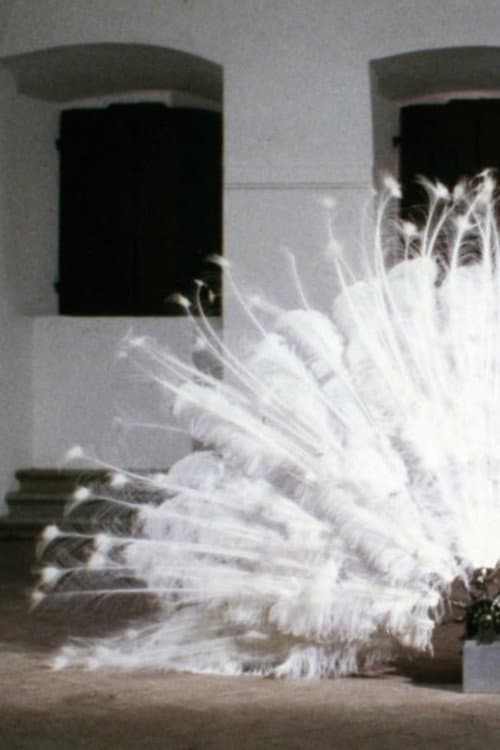 La Ferdinanda. Sonate für eine Medici-Villa