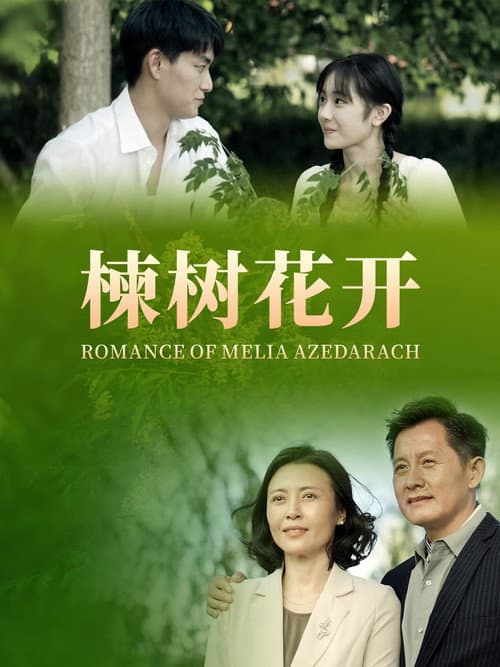Romance of Melia Azedarach