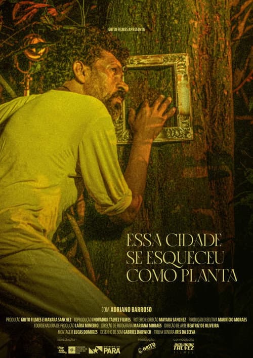 Essa Cidade Se Esqueceu Como Planta