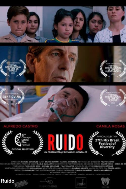 Ruido