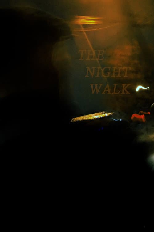 The Night Walk