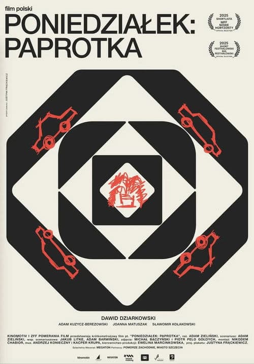 Poniedziałek: paprotka