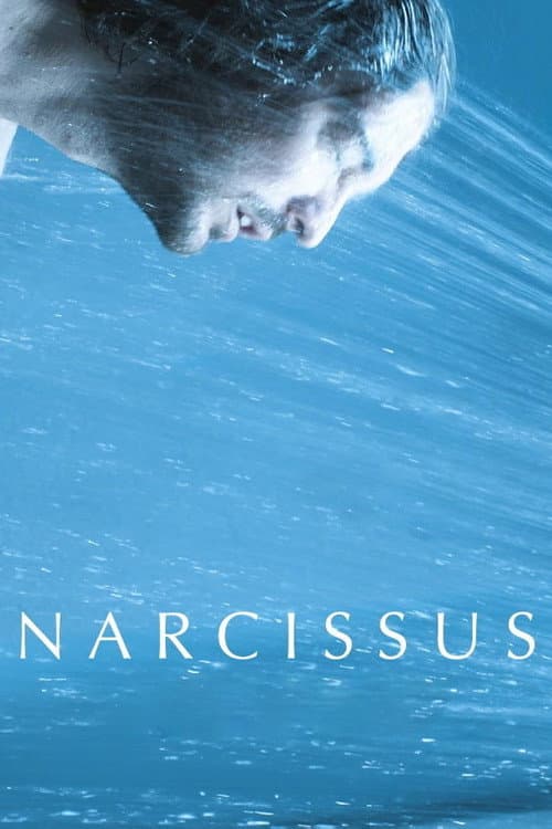 Narcissus