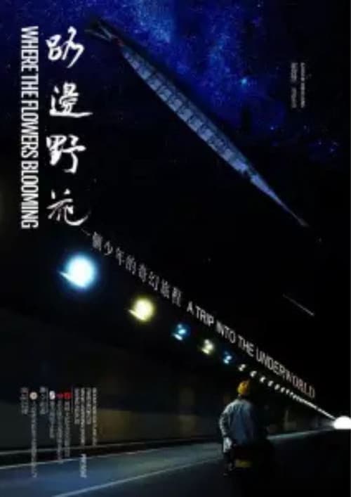 Where The Flowers Blooming