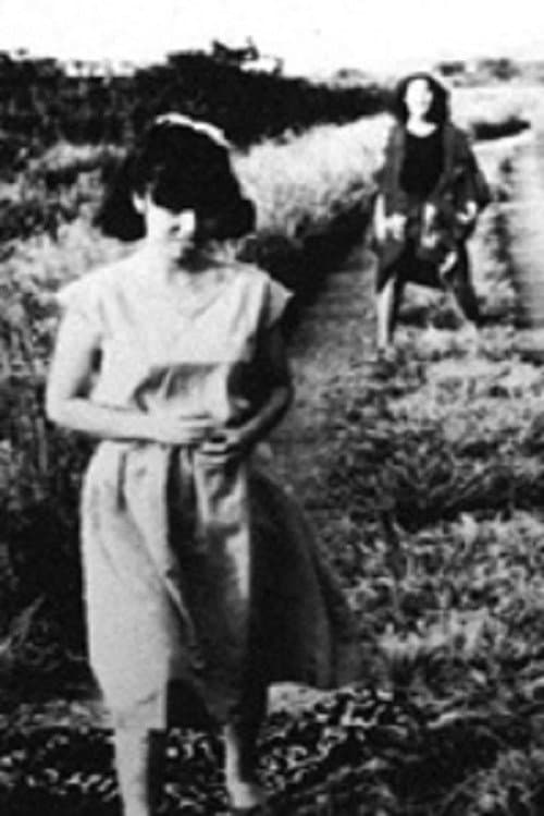 A iMITATION interioR