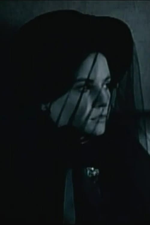 Stammbuch - Júlia asszony titkos éjszakái