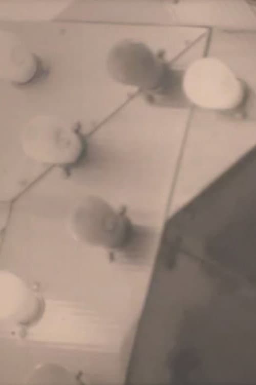 Notes on the Buffalo Conference: “Autobiography in American Independent Cinema”