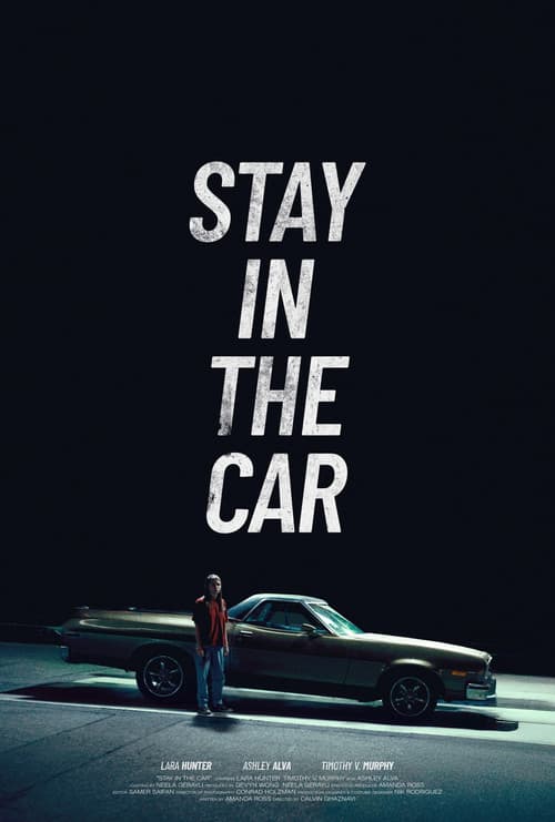 Stay in the car