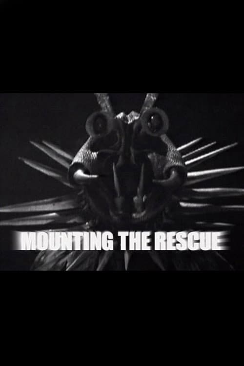 Mounting the Rescue