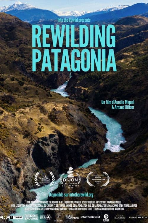 Rewilding Patagonia